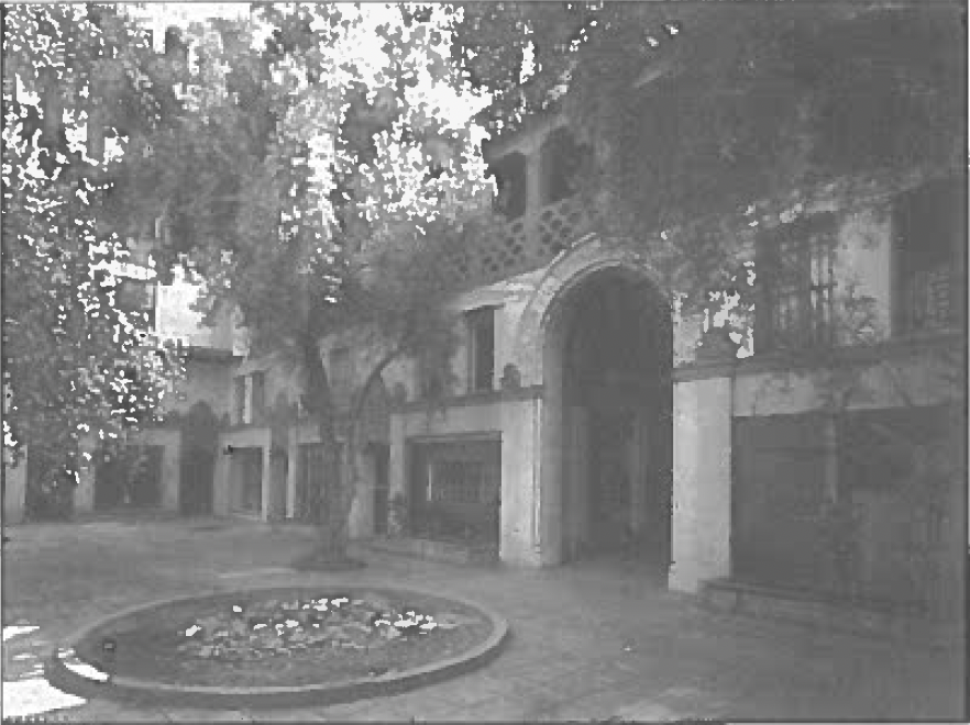 A courtyard with trees.