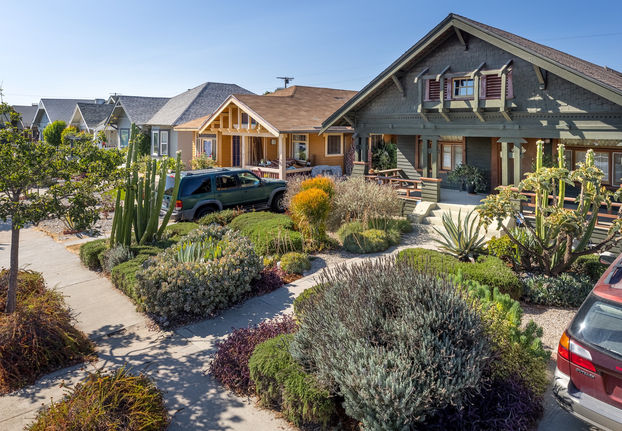 Jefferson Park HPOZ bungalows with drought-tolerant landscape: Craftsman bungalows in the Jefferson Park Historic Preservation Overlay Zone (HPOZ), demonstrating the possibilities of drought-tolerant landscape design within a historic district.