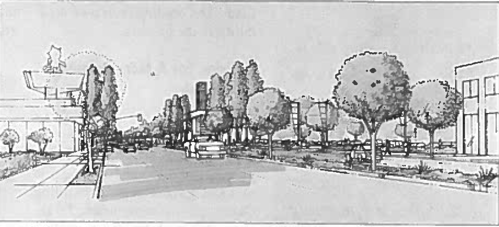 Street view of Figueroa St. (after landscaping), looking south towards landmark grove at Jefferson Boulevard.