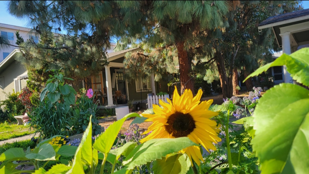 Photo of Lourine Court Bungalows, Garden, and Greenspace